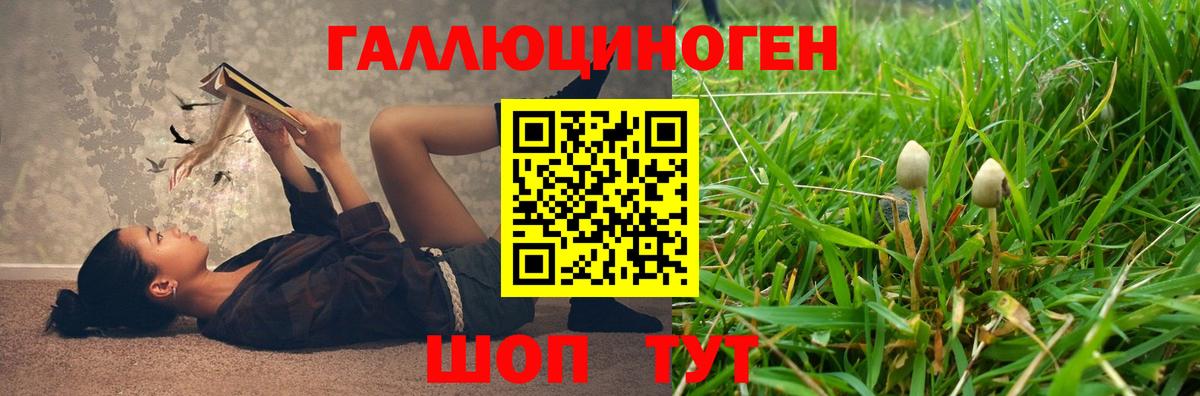 Галлюциногенные грибы прущие грибы  Вход с VPN  Гусь-Хрустальный 