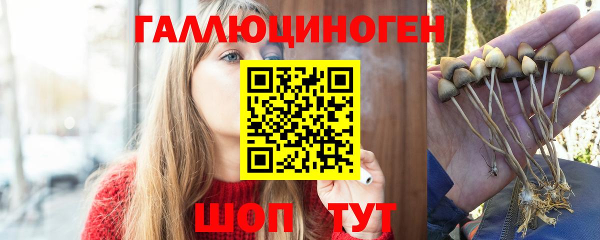 Псилоцибиновые грибы мицелий Гусь-Хрустальный